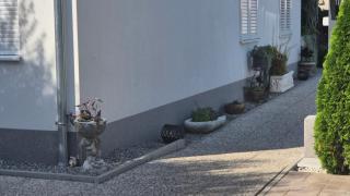 by Osibov, holiday home near Split with pool - 1