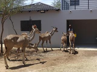 4438 on Olifants - 8