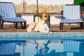 Family friendly house with a swimming pool Smrika, Kraljevica - 24407 - Kraljevica - 1