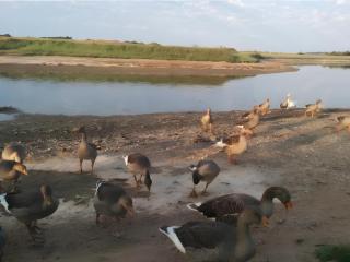 Chambre D'hôtes Soizic - 2