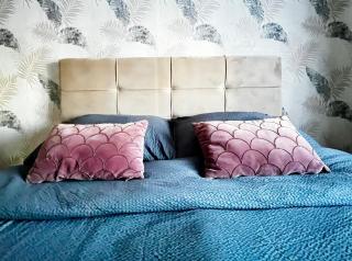 Novi Sad Premium Fair Apt - Fast WiFi - 7