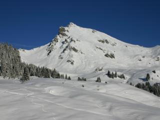 Studio cosy au centre de Le Praz de Lys, idéal pour 4 pers, proche pistes - FR-1-815-26 - 3