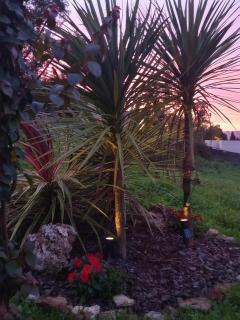 Casa de la Frida - Coqueto apartamento en Vigo - 4