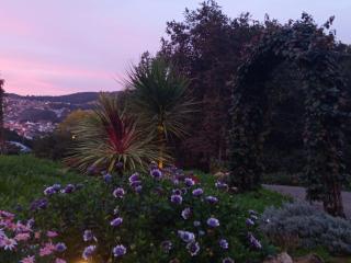 Casa de la Frida - Coqueto apartamento en Vigo - 2