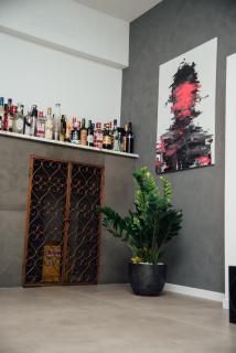 Modern Designer Retreat in Graz - 5