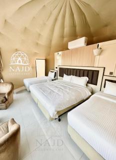 Wadi Rum NAJD Luxury Camp - 9