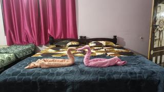 Baada Beach VT stay - 5