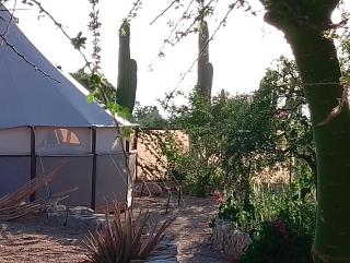 BuenaOnda Eco Glamping Food and Watersports - 7
