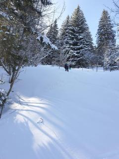 Cascades, 3 bedroom chalet with shared pool. - 7