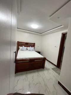 Twin Paradise Homes - Nairobi - 6