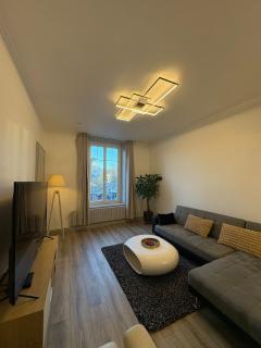 Appartement hyper-centre Épinal - 7