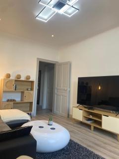 Appartement hyper-centre Épinal - 6