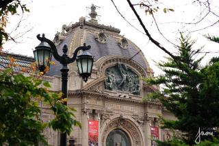 Hermoso departamento remodelado - 3