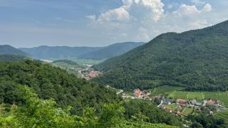 Ferienwohnungen Haus Stierschneider - Gut am Steg - 1