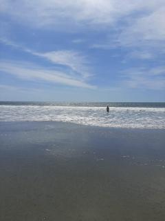 Seaside Garden Ecolodge Mompiche - 7