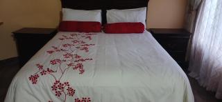 Bright Light Apartment - 2