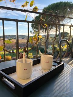 Le Mas des Vignes en Drome provençale - 2