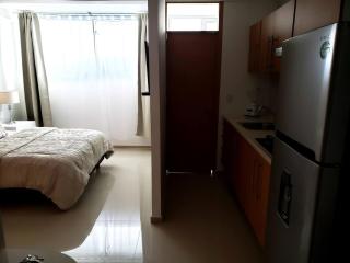 02 Loft Espectacular, AireAcondicionado - Consulado - 1