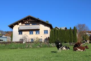 Ferienwohnung Vögel - 0