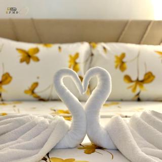 CJ Apartments-III - 1