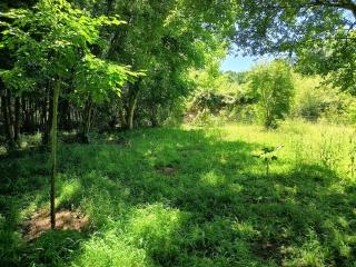 Chez Jean-Pierre - 9