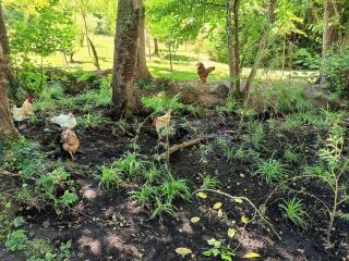 Chez Jean-Pierre - 7