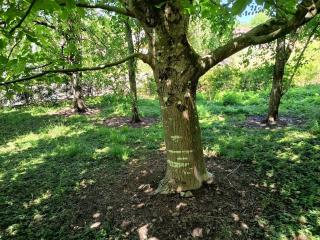 Chez Jean-Pierre - 5