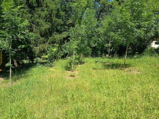 Chez Jean-Pierre - 4