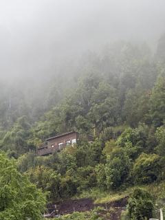 Cabin with Jacuzzi - 7