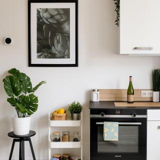 Somptueux appartement - Besançon - 1