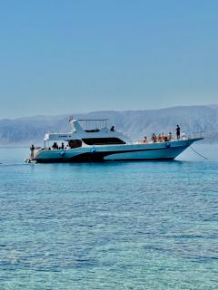 Camel Dive Club By The Sea Inn - Jurf ad Darāwīsh - 5