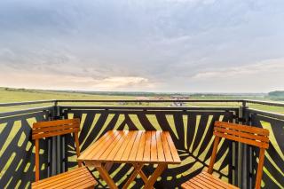 Felix Sunset Dream - 5