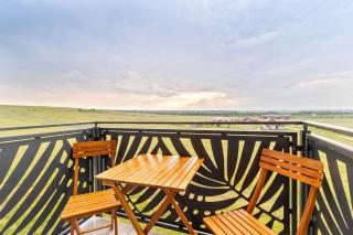 Felix Sunset Dream - 6