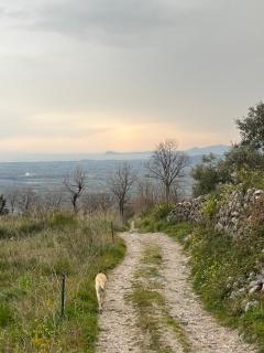 In the Wild Volcano Sea Side - 8