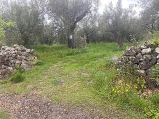 In the Wild Volcano Sea Side - 5