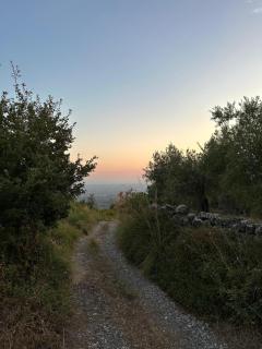 In the Wild Volcano Sea Side - 1