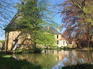 Chateau de Lassay - Charming castle for rent in Sarthe -  - 1
