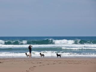 3 Bed in Tintagel PENDB - 4