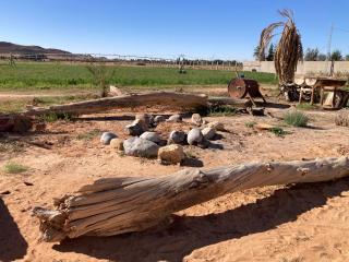 Maison d'hôtes Houria - 4