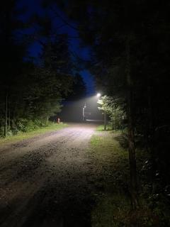 La forêt nourricière - 3