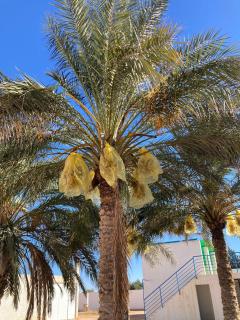 Maison d'hôtes Houria - 6