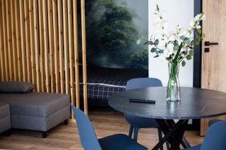 "Work and Quiet", Faktura VAT, KLIMATYZACJA, AIR CONDITIONING, GROUND FLOOR, PARKING, PARTER, - 5