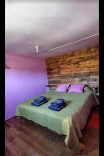 Cabaña el Sauco - 4