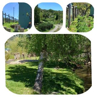 Cabaña el Sauco - 1