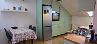 Mansarda Gheorgheni - 0