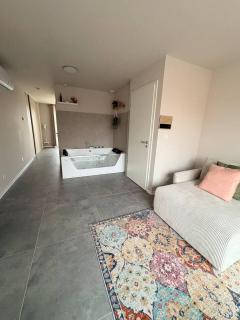 Maison MUGUET 1 SPA-PARKING-COLMAR - 4