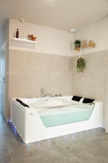 Maison MUGUET 1 SPA-PARKING-COLMAR - 3