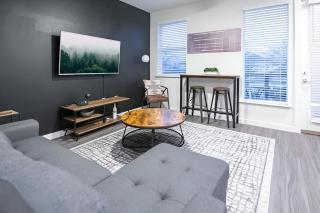 The Library - Comfy Studio Gym & Pet Friendly - 5