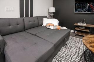 The Library - Comfy Studio Gym & Pet Friendly - 2