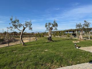 Bujtina Tushaj - Lezhë (Alessio) - 1